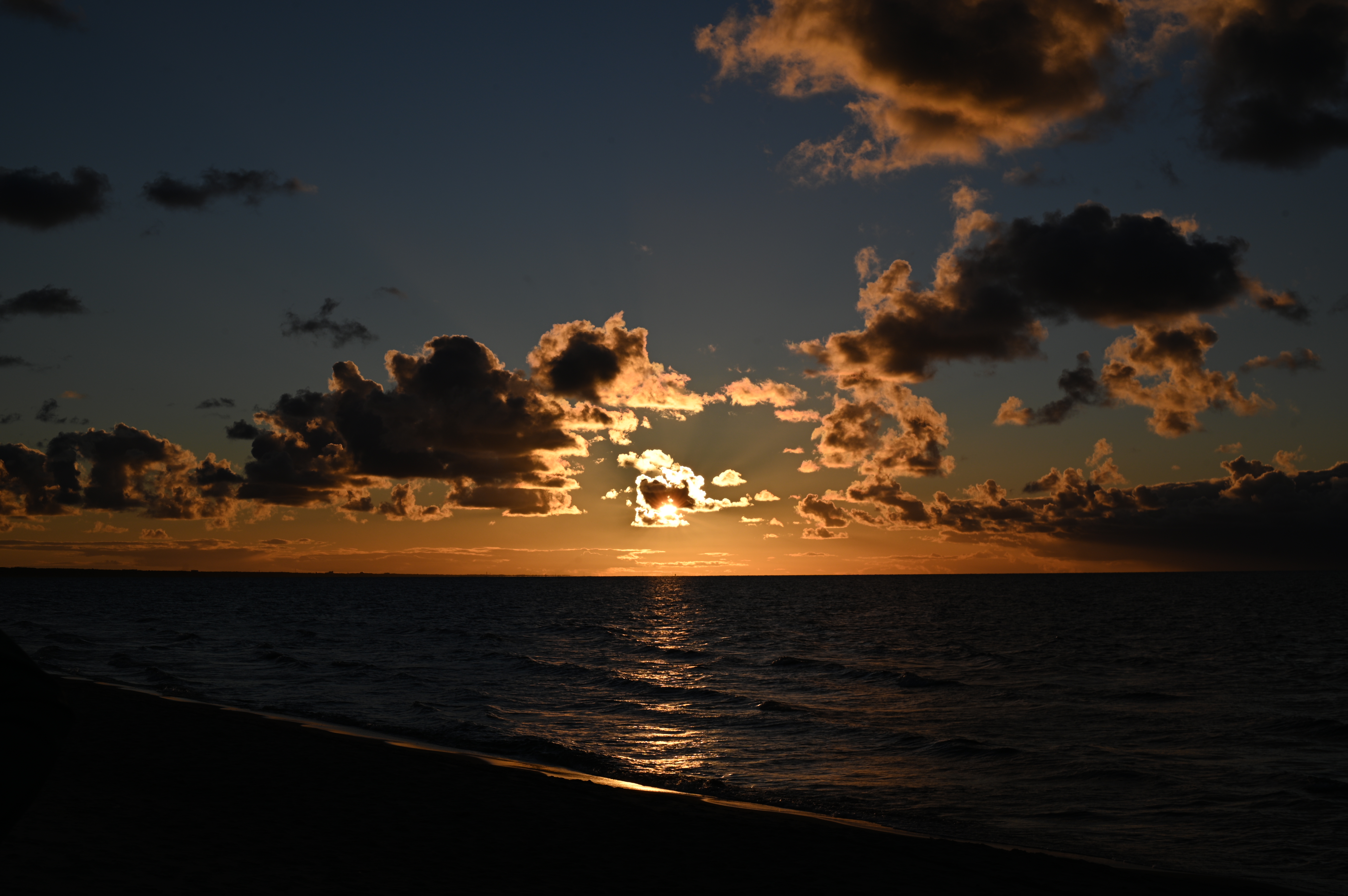 2025/10/18 - walk/DSC_0339.JPG